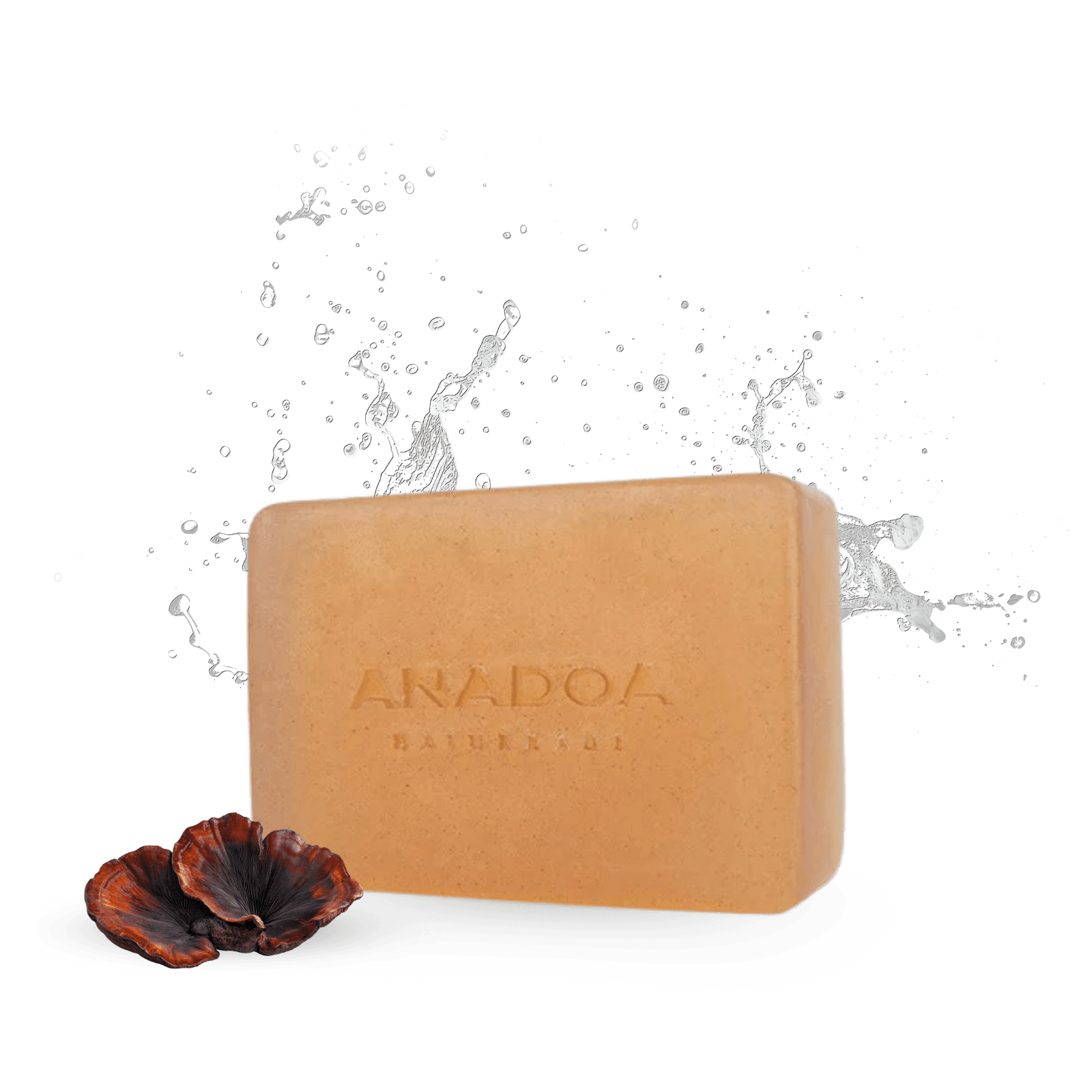 Anadoa Naturhaus Reishi Pilz Seife Handgemacht