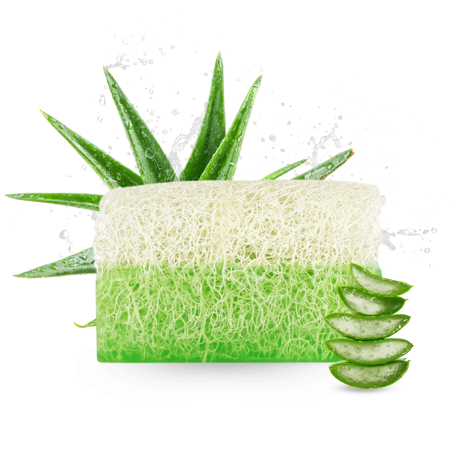 Anadoa Naturhaus Aloe Vera Seife mit Luffaschwamm