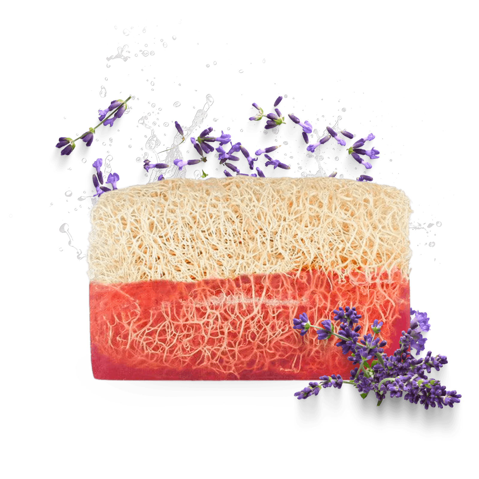 Anadoa Naturhaus Lavendel Seife mit Luffaschwamm