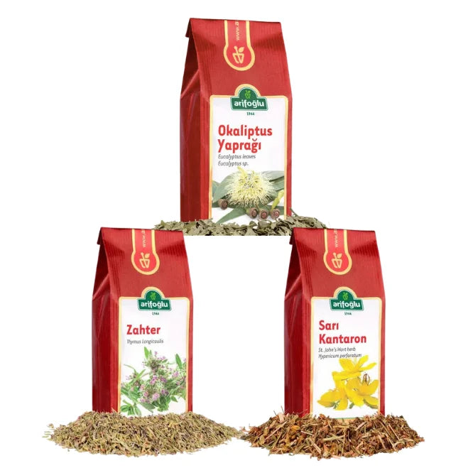 3er Set Wintervorbereitung - Eukalyptus Blätter Tee, Schwarzer Thymian Tee, Johanniskraut Tee